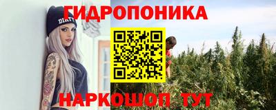 прущие крисы Волжский