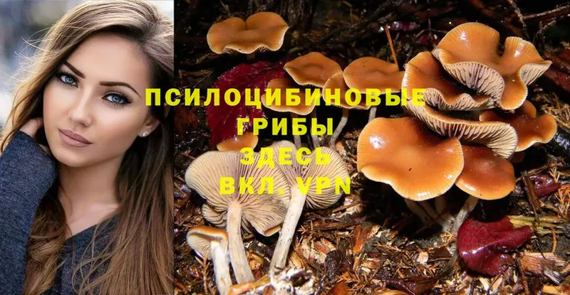 Галлюциногенные грибы MAGIC MUSHROOMS  даркнет формула  Дубна 