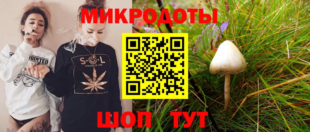 Псилоцибиновые грибы Cubensis Дубна